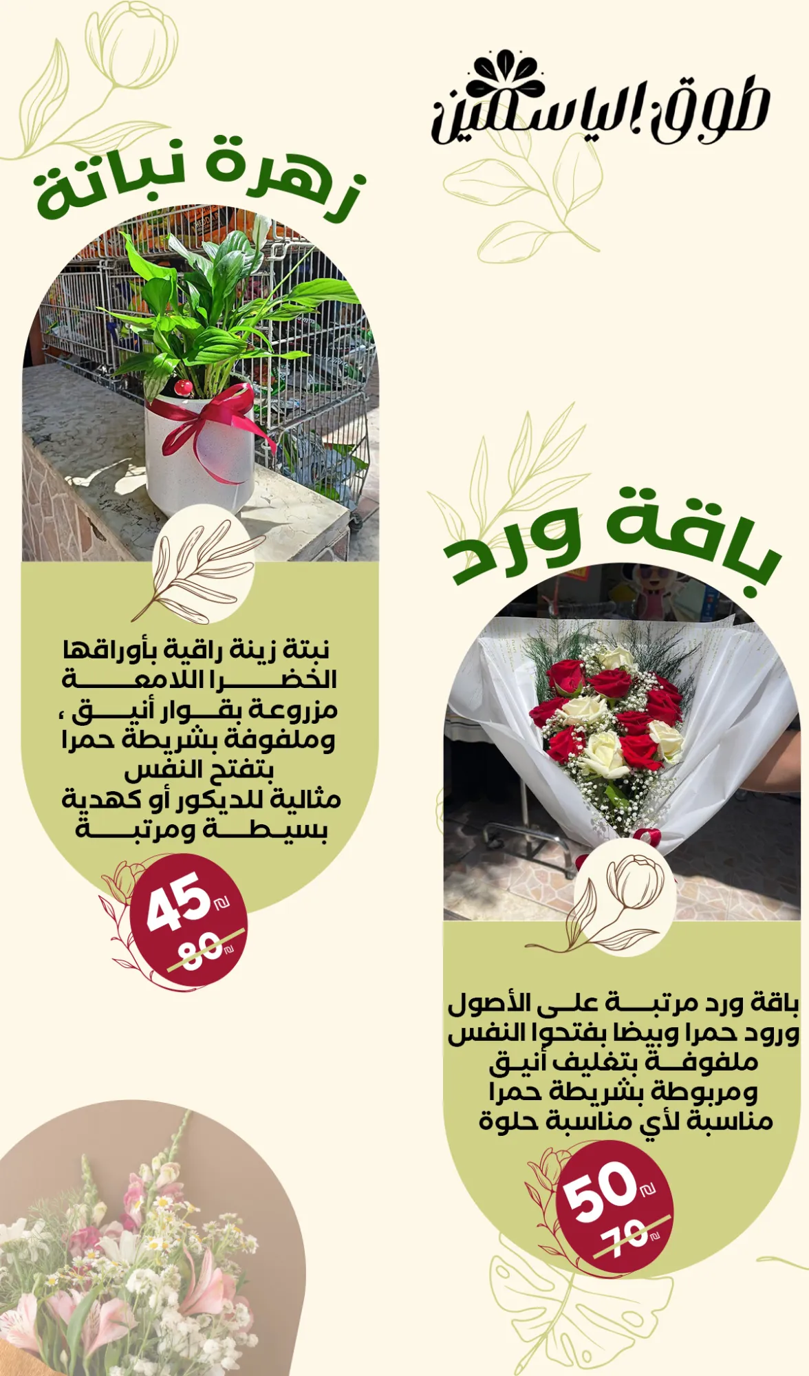 brochure